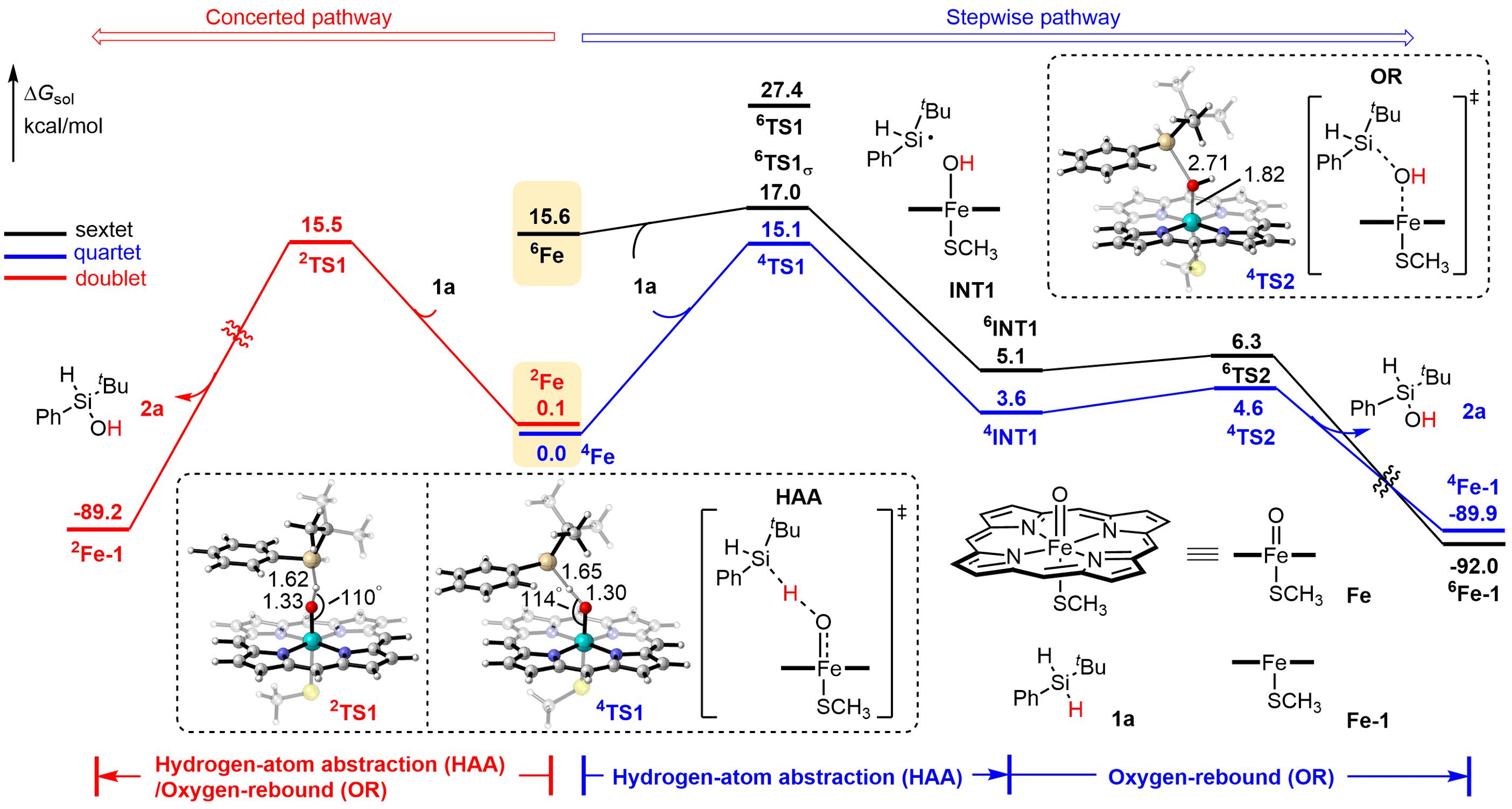 20250407-Angew. Chem. -刘臻-4. 基于密度泛函理论(DFT)进行的机理计算.jpg