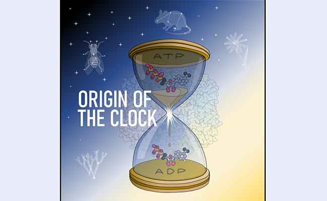 空白背景new1 - 副本.jpg