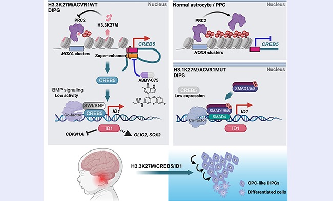 空白背景new1  - 副本.jpg