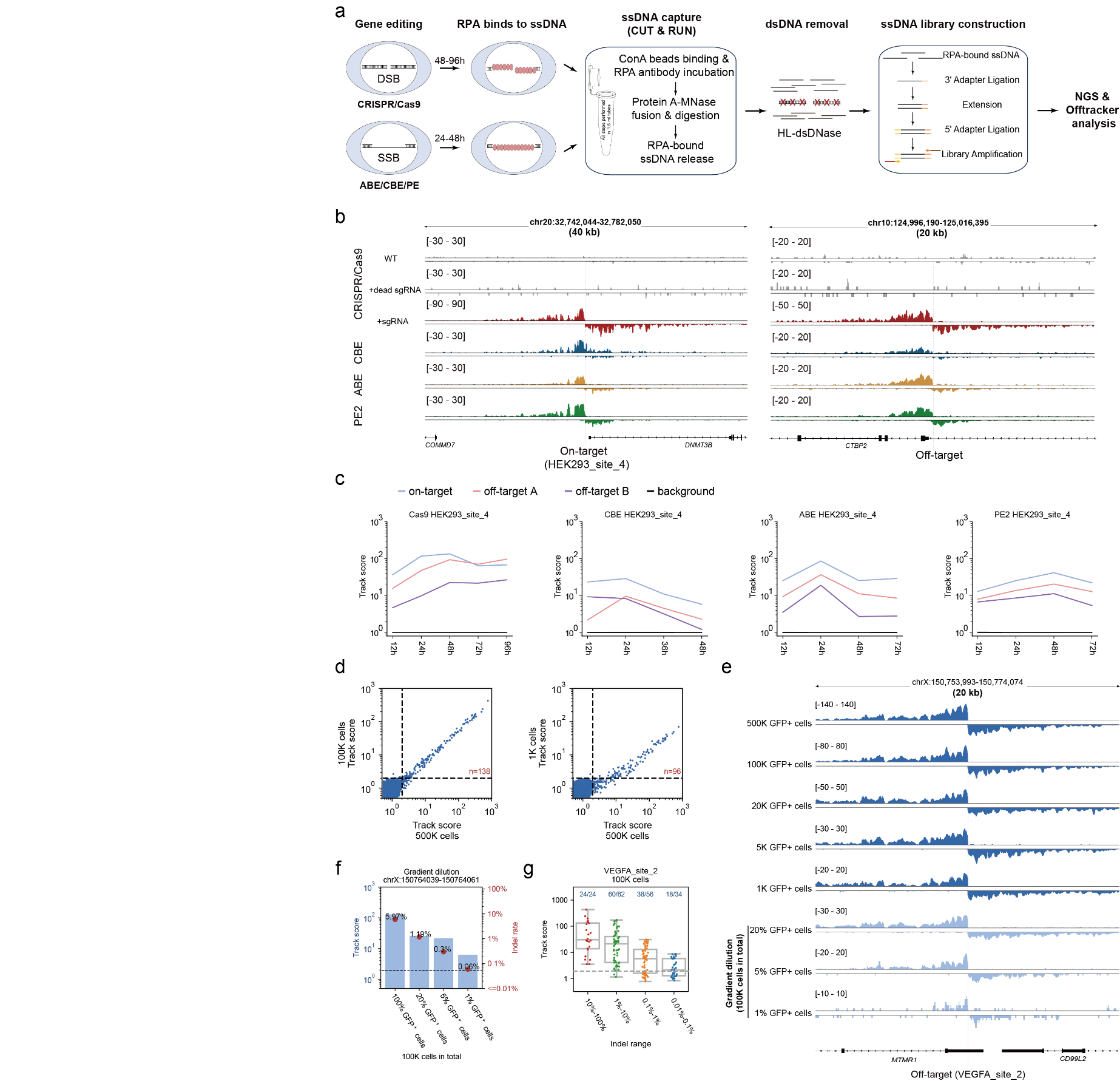 20240702- Tracking-seq示意图-朱明-科研成果.png